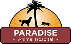 Paradise Animal Hospital